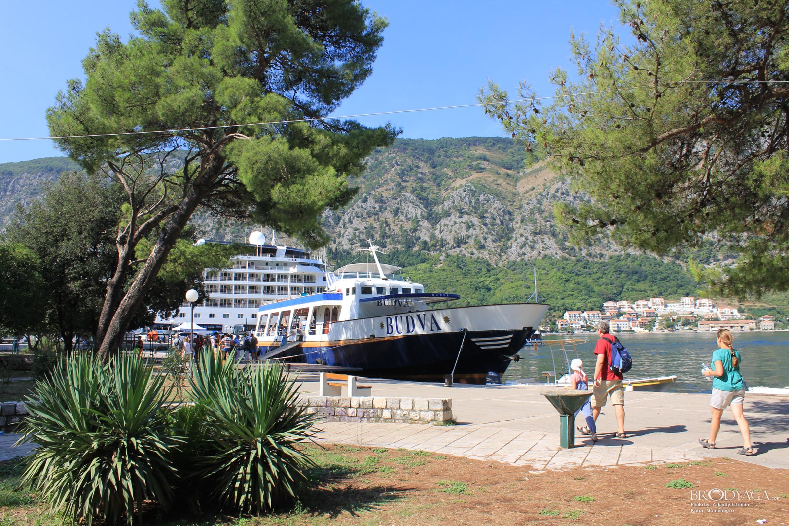 Kotor